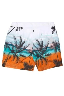 Le Club Men's Swim Trunk Beach Band -Swim Luxe Outfit le club apparel accessories clothing shorts le club men s swim trunk beach band 2022 le club men s swim trunk beach band 28394853302370
