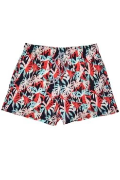 Le Club Men's Swim Trunk Palmitas -Swim Luxe Outfit le club apparel accessories clothing shorts le club men s swim trunk palmitas 2022 le club men s swim trunk palmitas 28394903240802