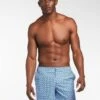 Lee Bay Long Swim Trunk (7 Inch Inseam) -Swim Luxe Outfit le club apparel accessories clothing swimwear small print lee bay long swim trunk 7 inch inseam 2021 le club men s original swimsuit lee bay long trunk 7 inch inseam 28032418676834